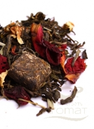 ŹRÓDŁO MĄDROŚCI